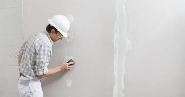Best Mold Documentation for Insurance Claims  in Harbor Bluffs, FL
