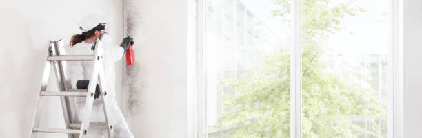 Best Biohazard Mold Removal  in Harbor Bluffs, FL