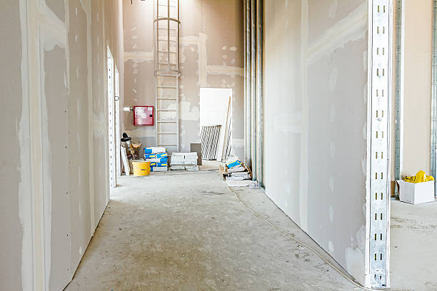 Best Mold Damage Restoration  in Harbor Bluffs, FL