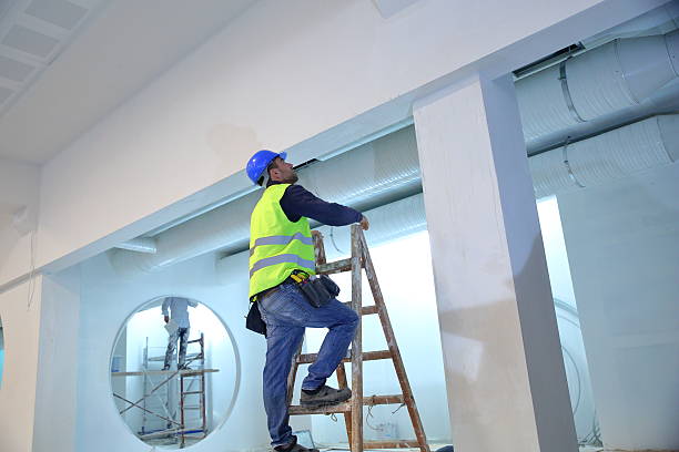 Best Basement Mold Removal  in Harbor Bluffs, FL