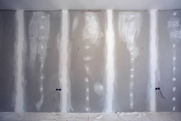 Best Asbestos and Lead Testing During Mold Inspection  in Harbor Bluffs, FL